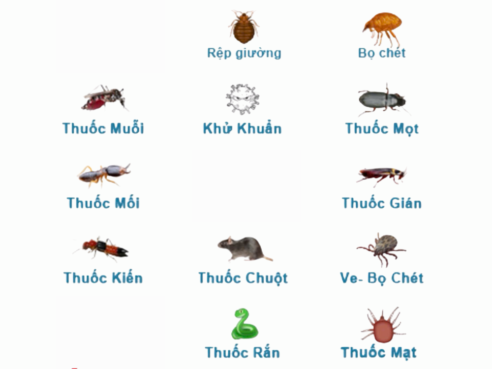 Kẻ thù của chim yến